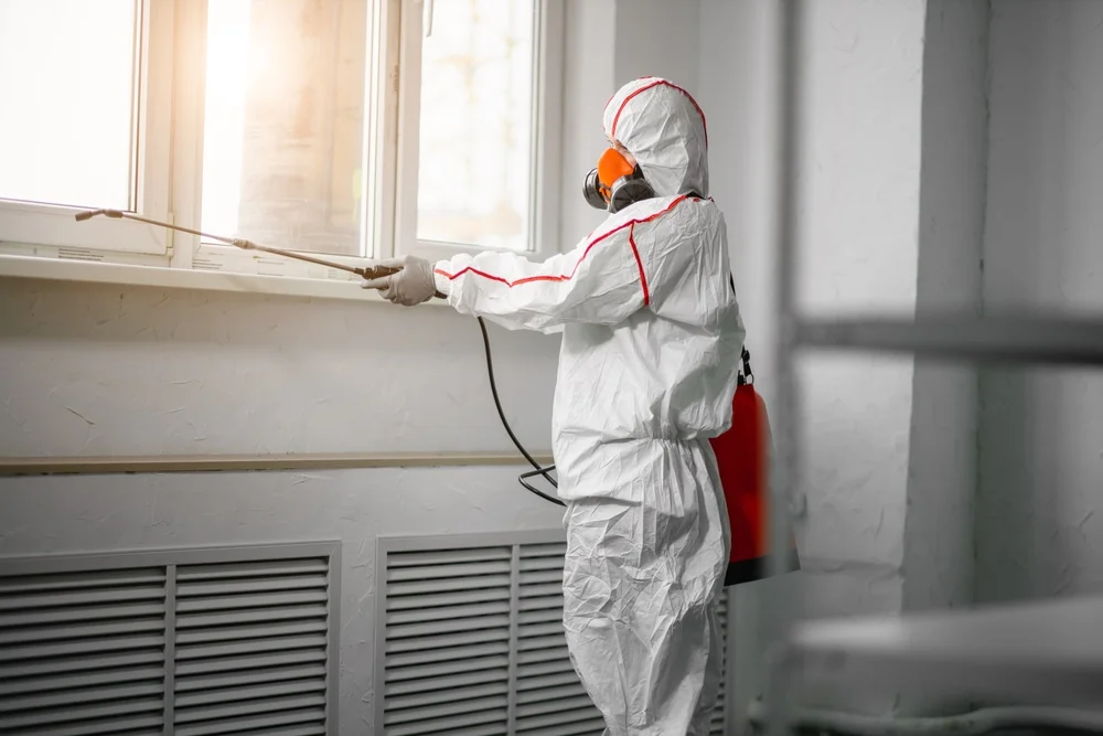 Professional mold remediation services in Changewater, NJ